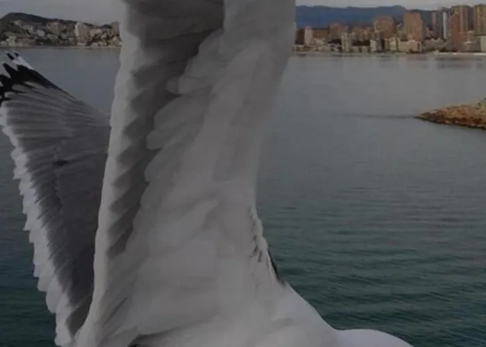 شقة Levante *